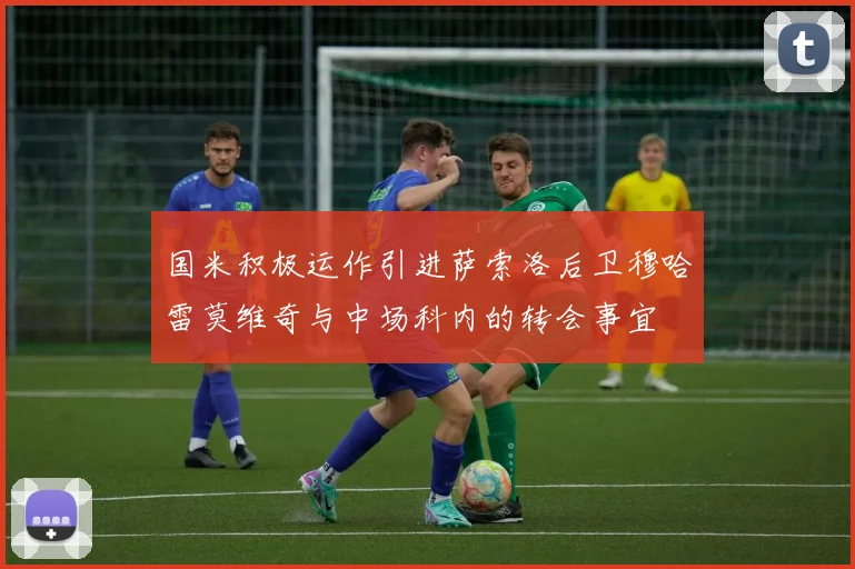 国米积极运作引进萨索洛后卫穆哈雷莫维奇与中场科内的转会事宜