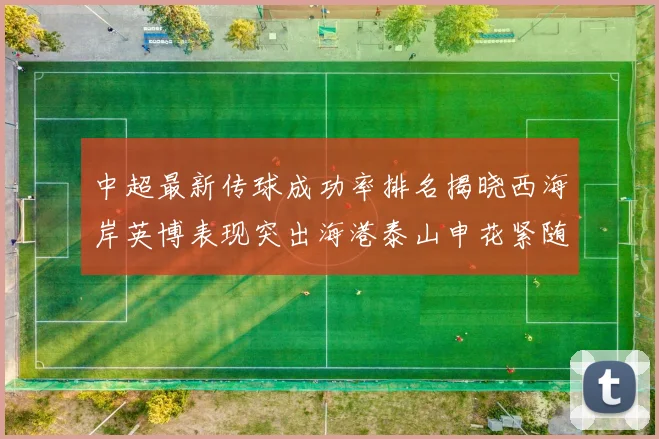 中超最新传球成功率排名揭晓西海岸英博表现突出海港泰山申花紧随其后